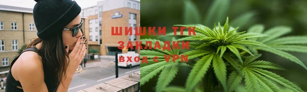 крисы Богородск