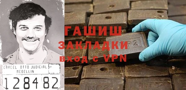 гидра Новодвинск